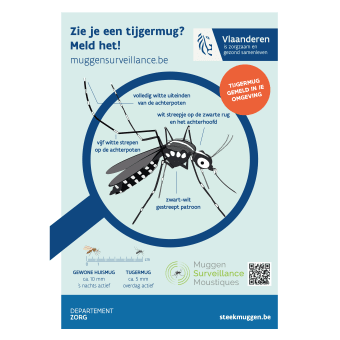 Flyer Zie je een tijgermug? Meld het!