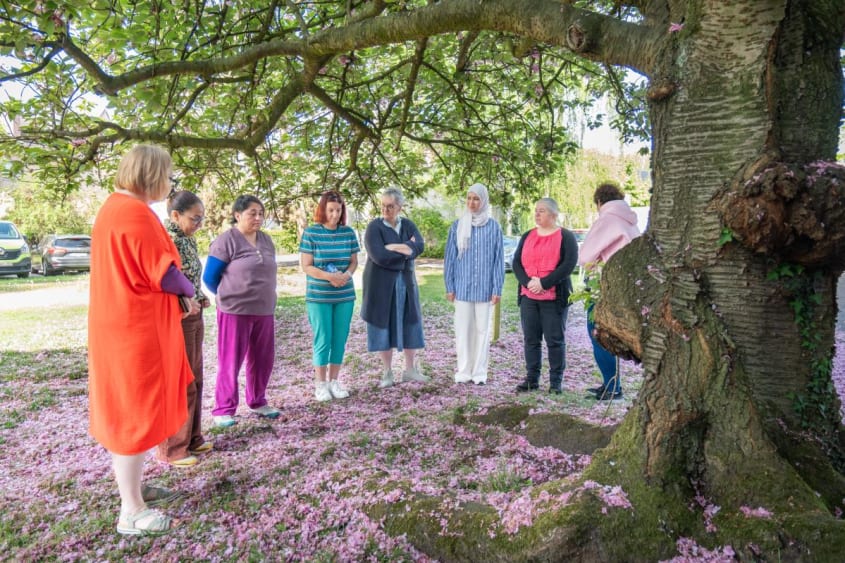 zorgzame buurt diest