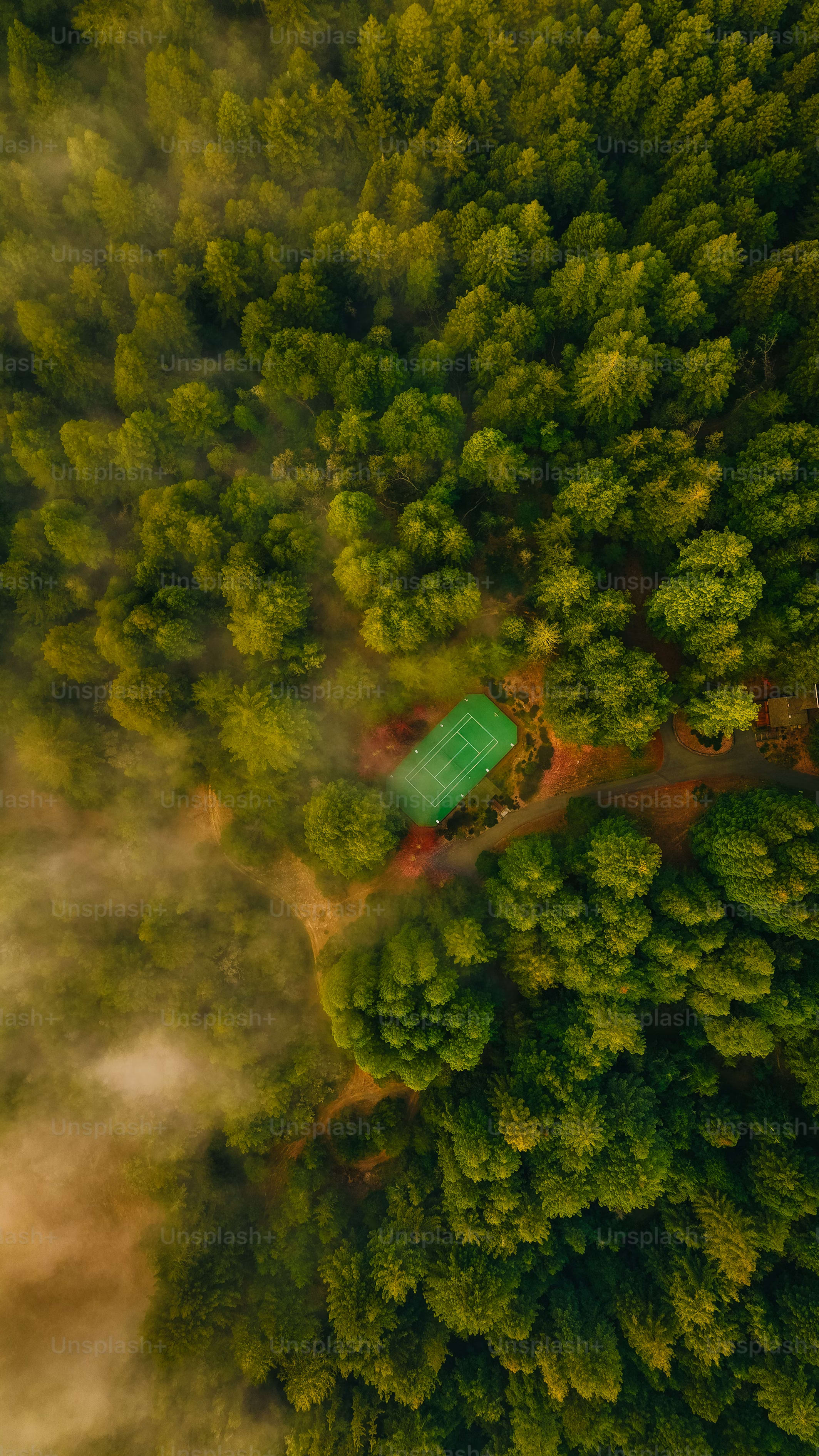 projectFinDeBatch/front/images/activities/padel/padel-photo-041