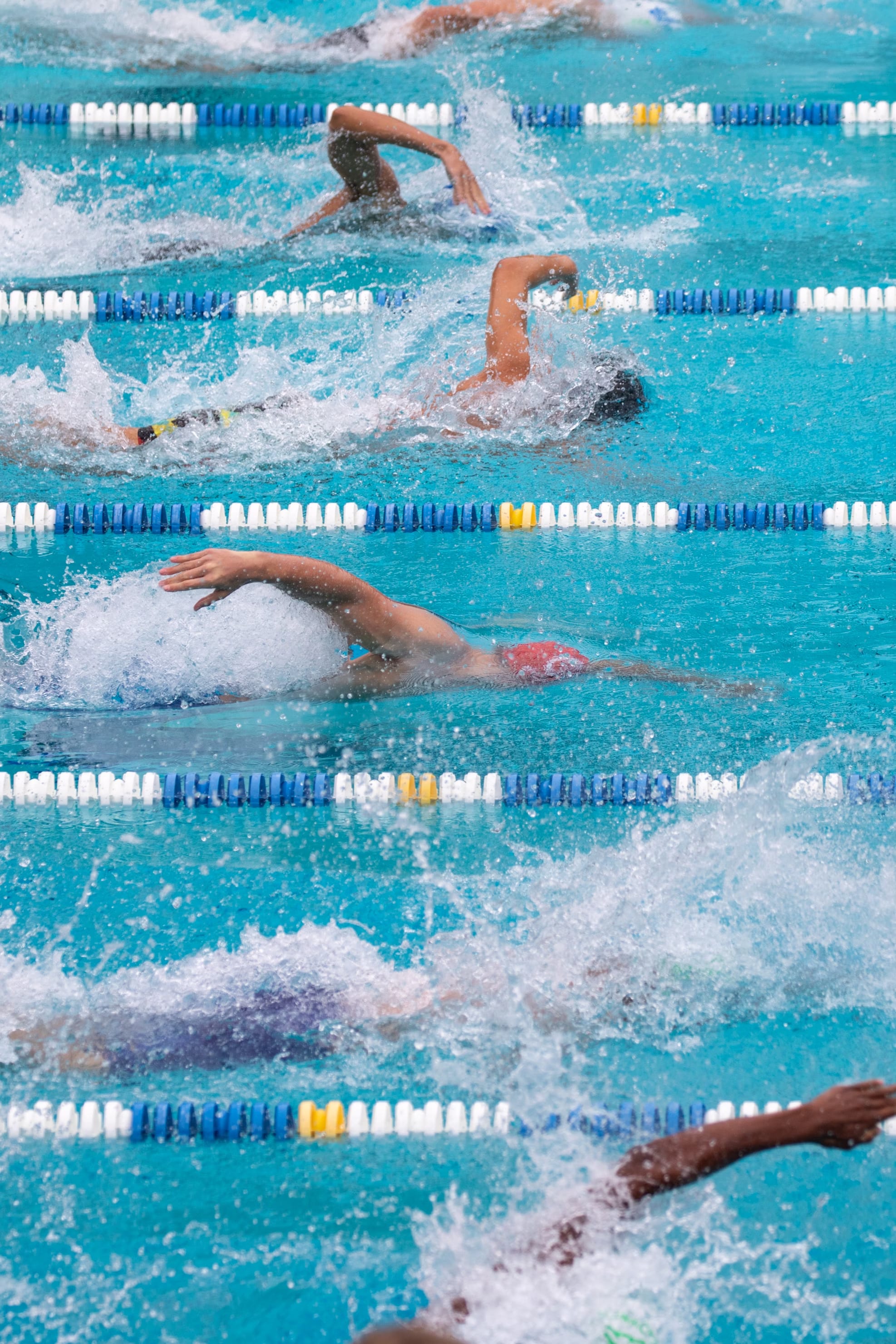 projectFinDeBatch/front/images/activities/natation/natation-photo-027