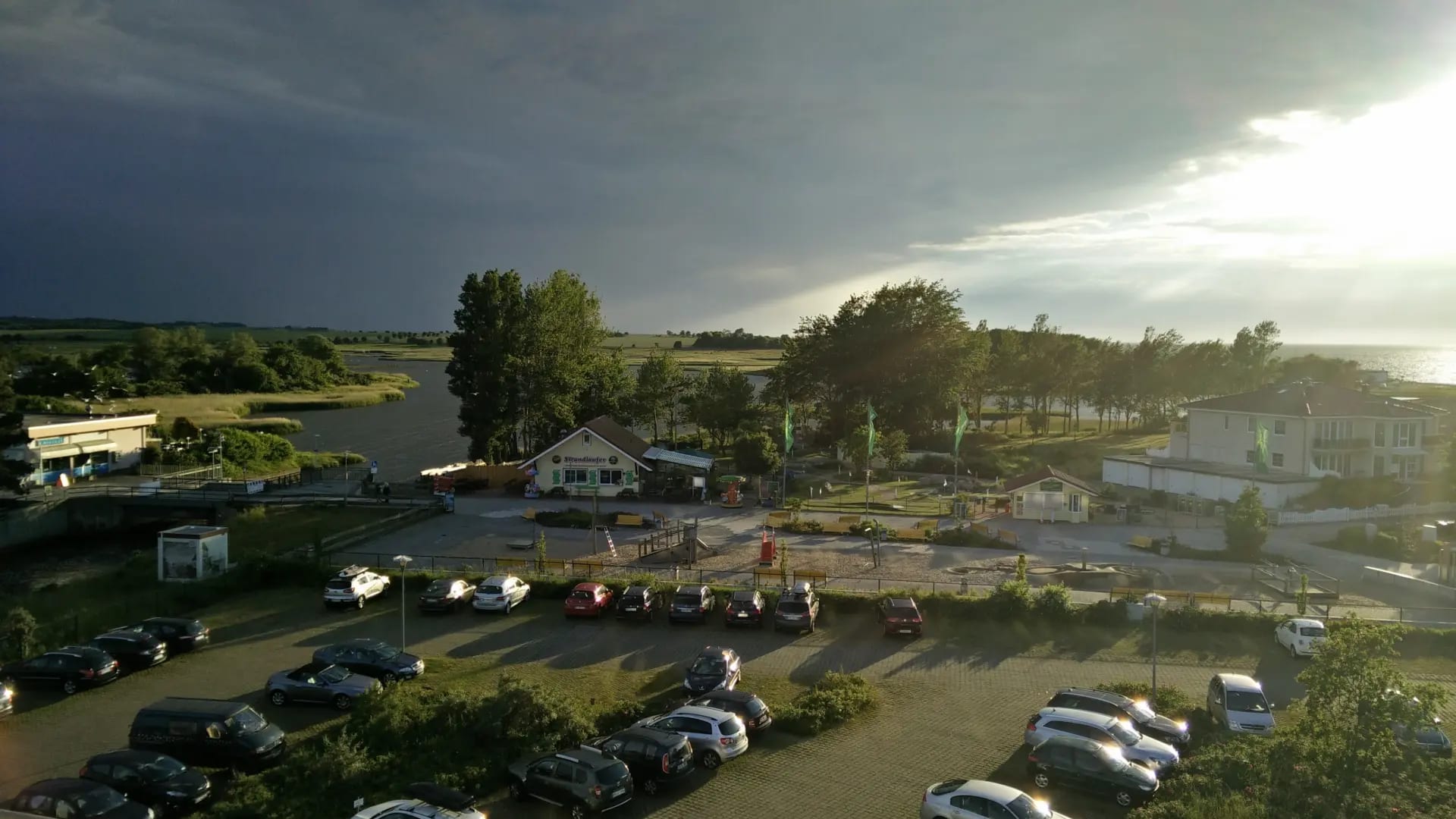 Strandläufer Großansicht