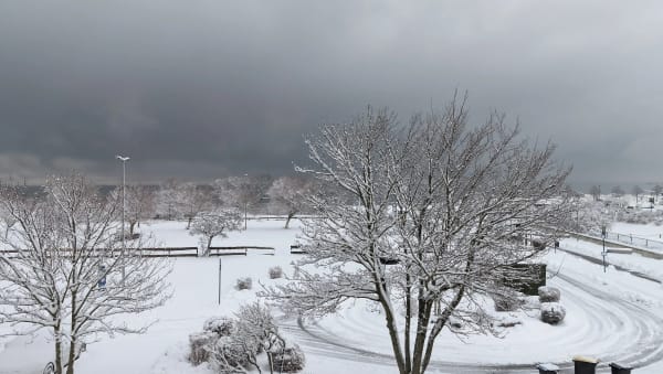 Seepark verschneit