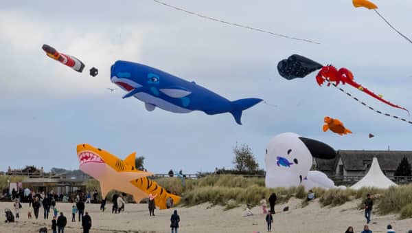 Annual Kite Festival on the Steinwarder