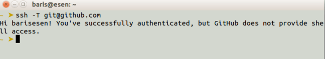 github ssh successfully auth