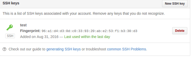 github ssh successfully