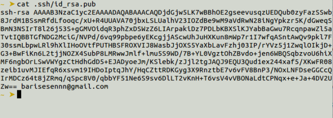 github ssh id_rsa.pub