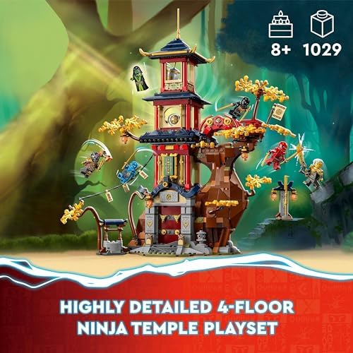 Vue 2 de Lego Ninjago Temple De