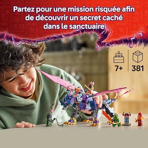 Vue 2 de Lego Ninjago Rontu Le