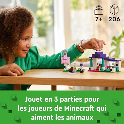 Vue 3 de Lego Minecraft Le Sanctuaire