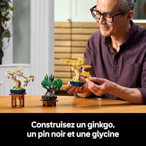 Vue 3 de Lego Botanicals Mini Bonsais