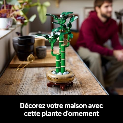Vue 6 de Lego Botanicals Le Bambou