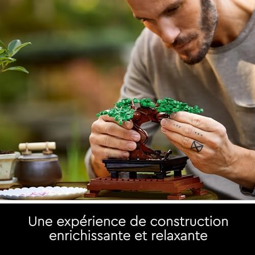 Vue 3 de Lego Botanicals Bonsai Plante