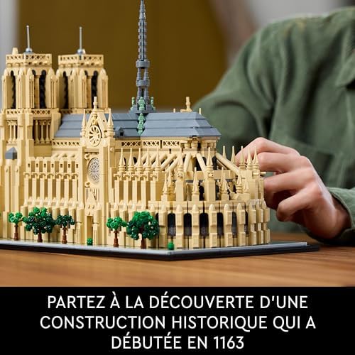 Vue 3 de Lego Architecture Notredame De
