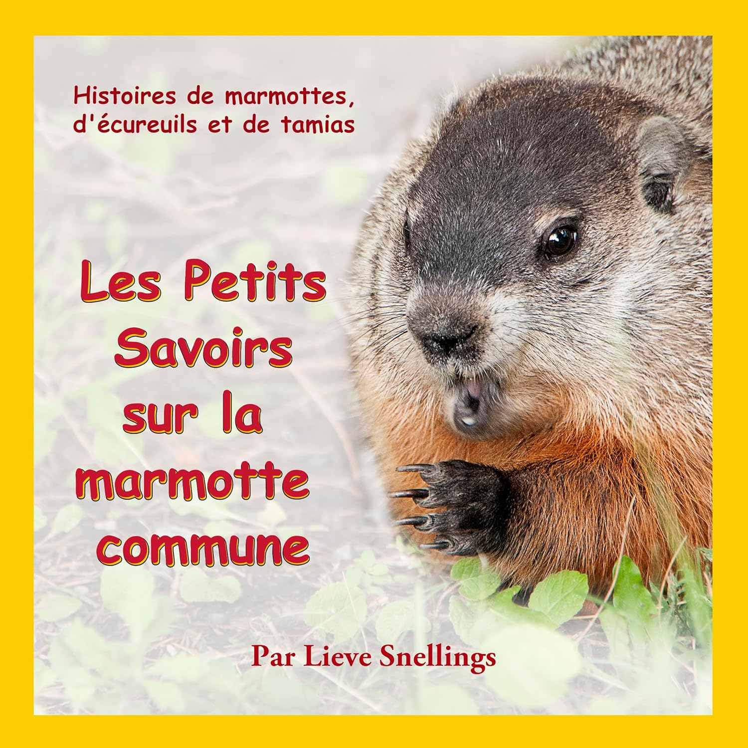 Vue 2 de Lunivers Lego