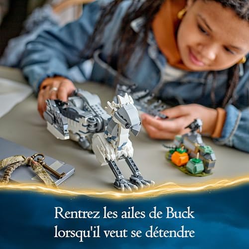 Vue 4 de Lego Harry Potter Buck