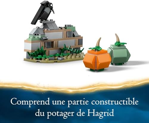 Vue 6 de Lego Harry Potter Buck