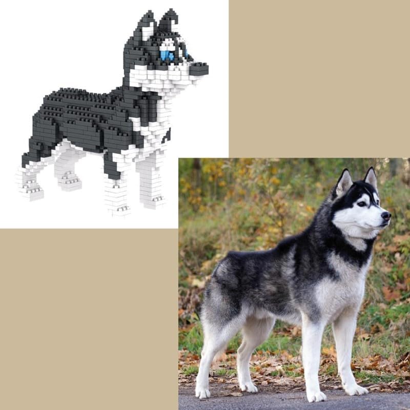 Vue 4 de Atomic Building Chien Husky