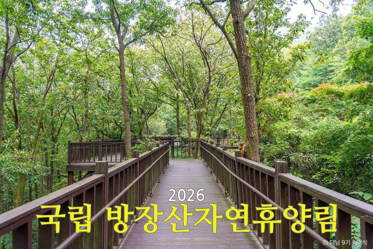 설명