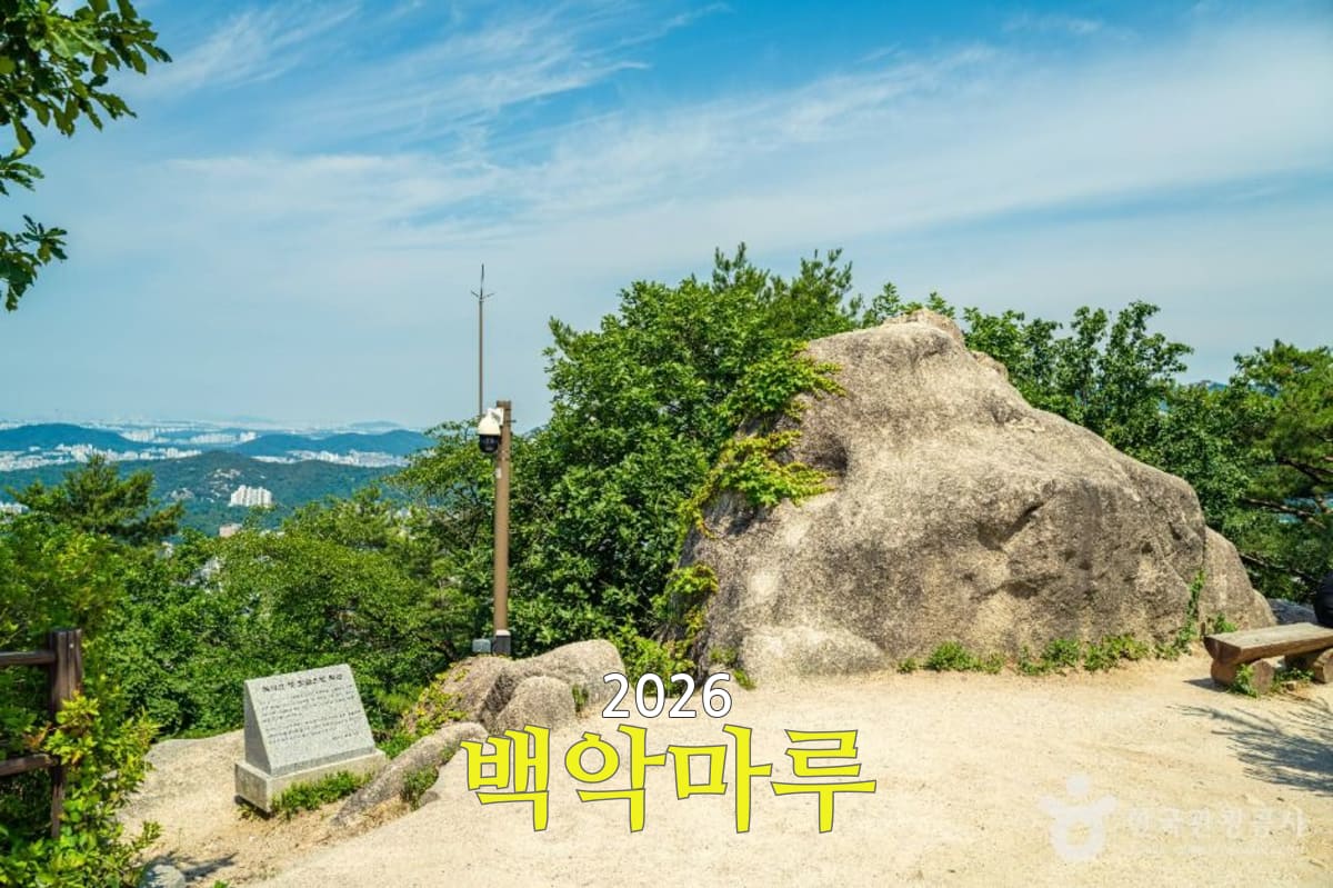 설명