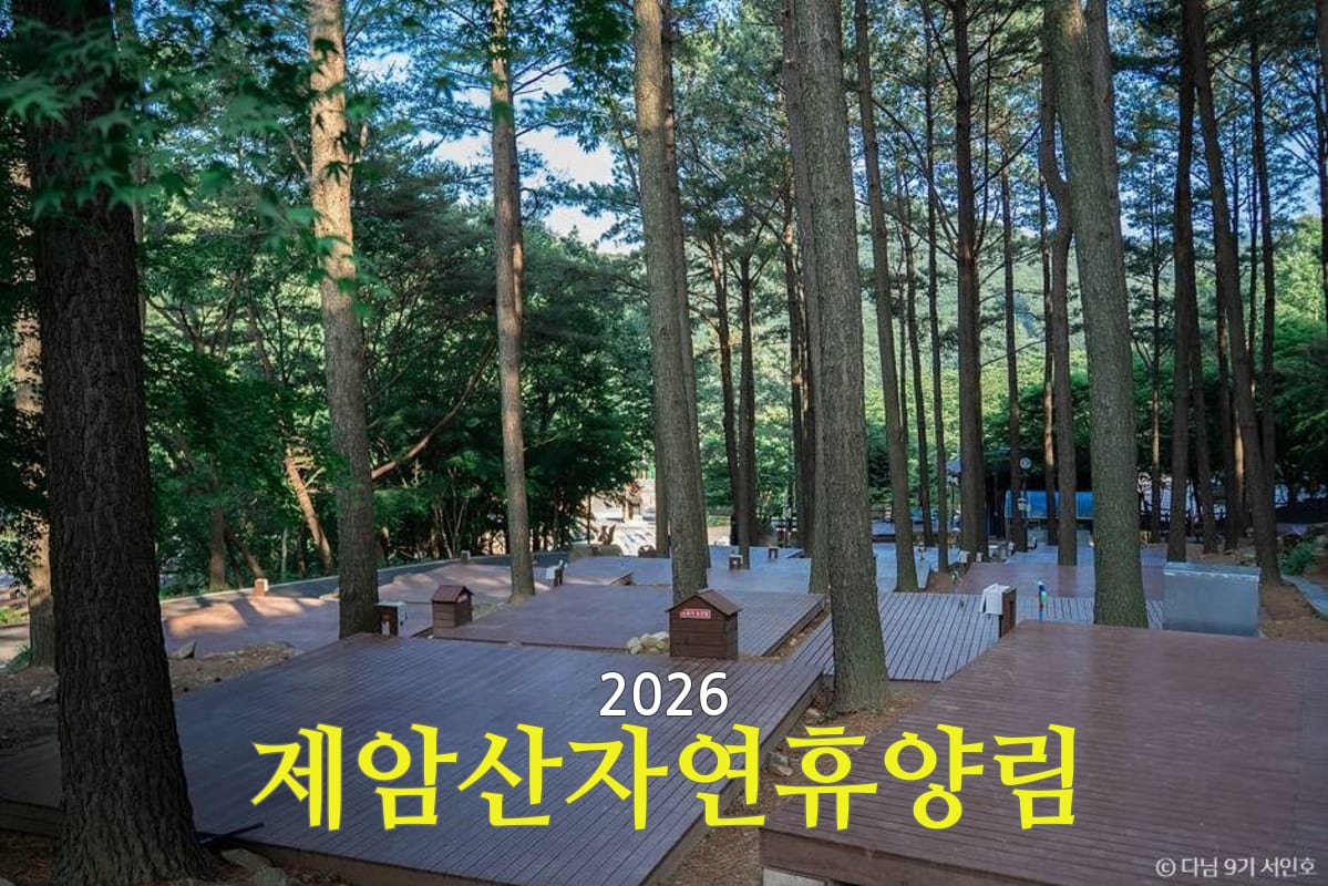 제암산자연휴양림 전경