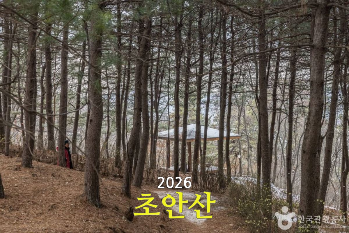 초안산 풍경