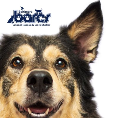 BARCs