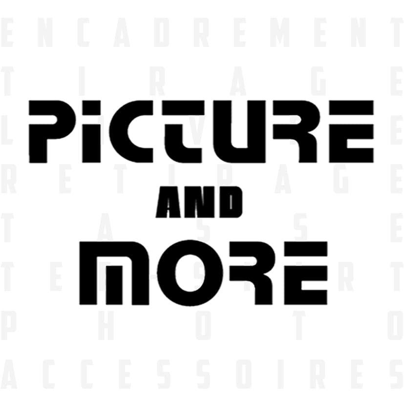 picture and more logo