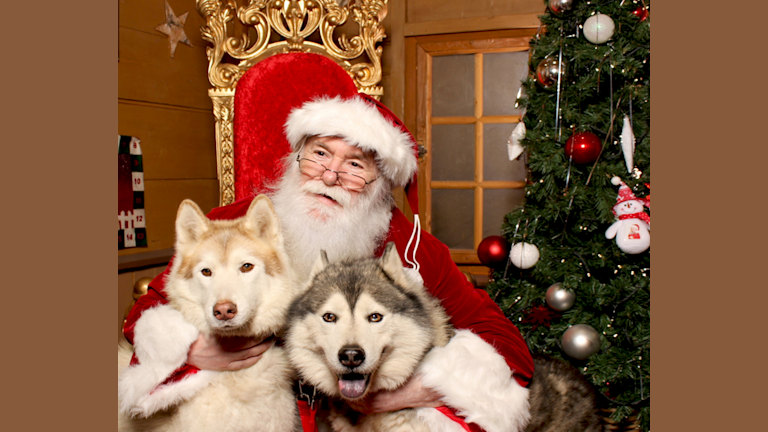 Rencontre avec le Père Noël  !