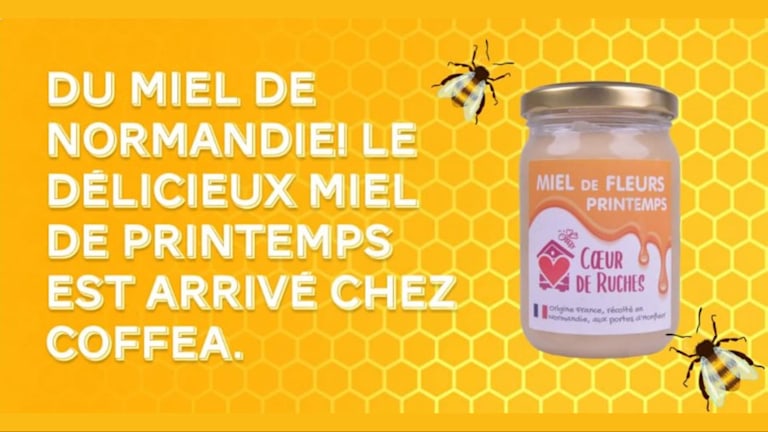 Miel de fleurs de Printemps