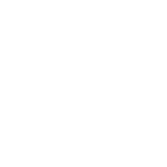 Cargadores eléctricos