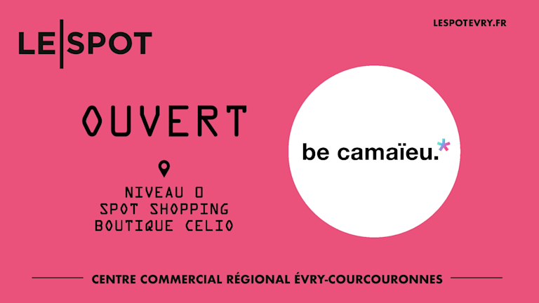 Be camaïeu