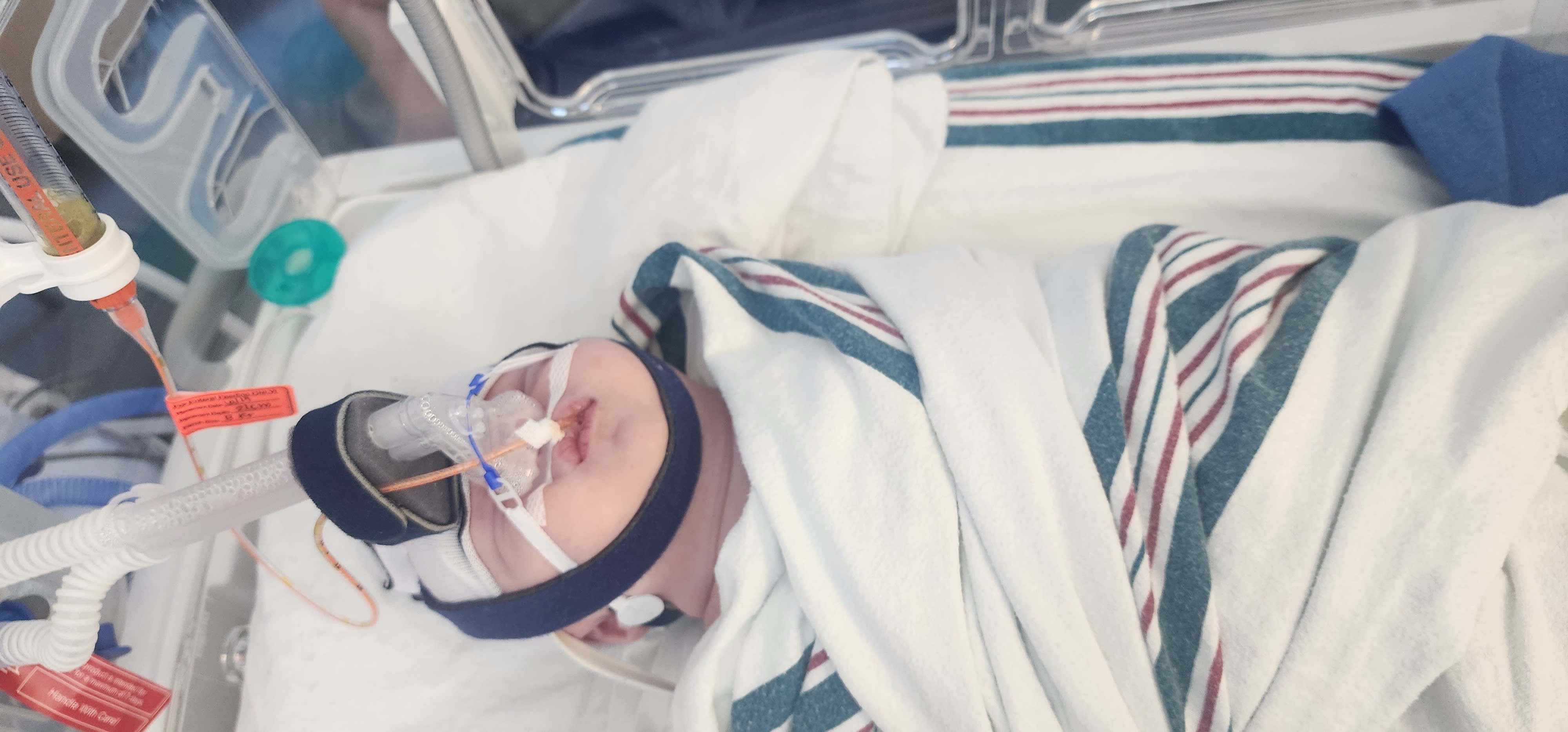 Image from 06/14/2024 Update