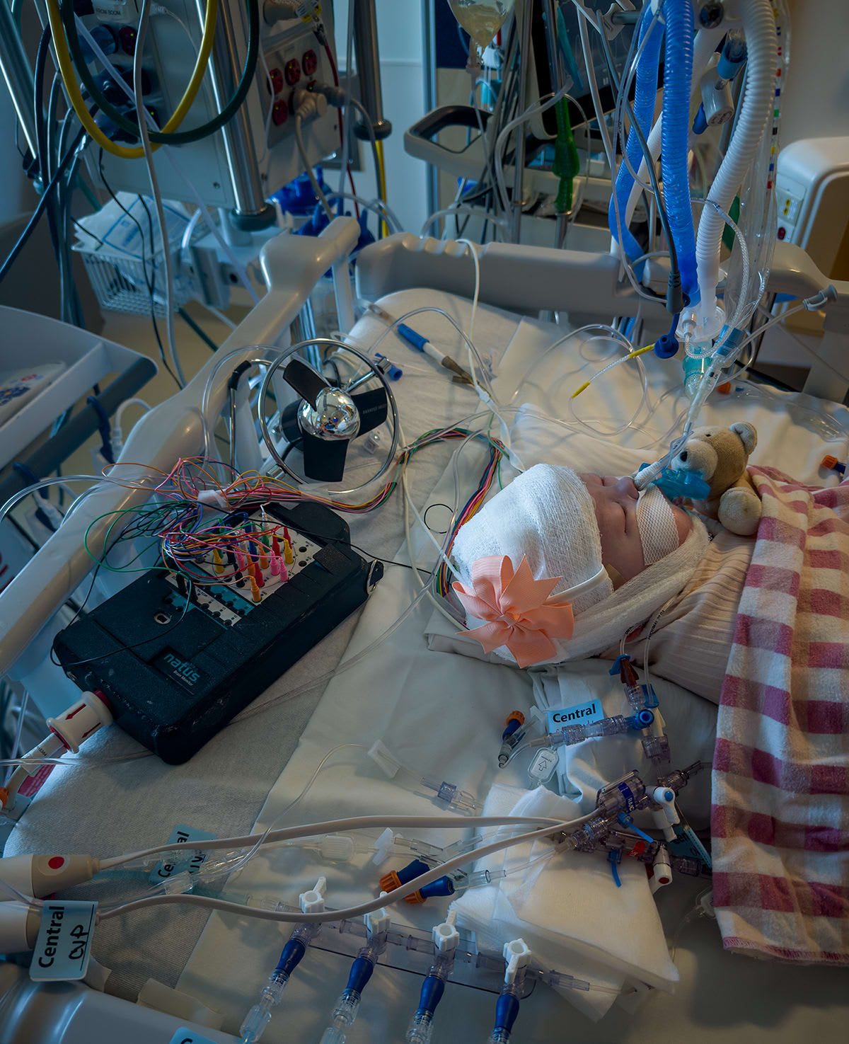 Image from 11/02/2024 Update