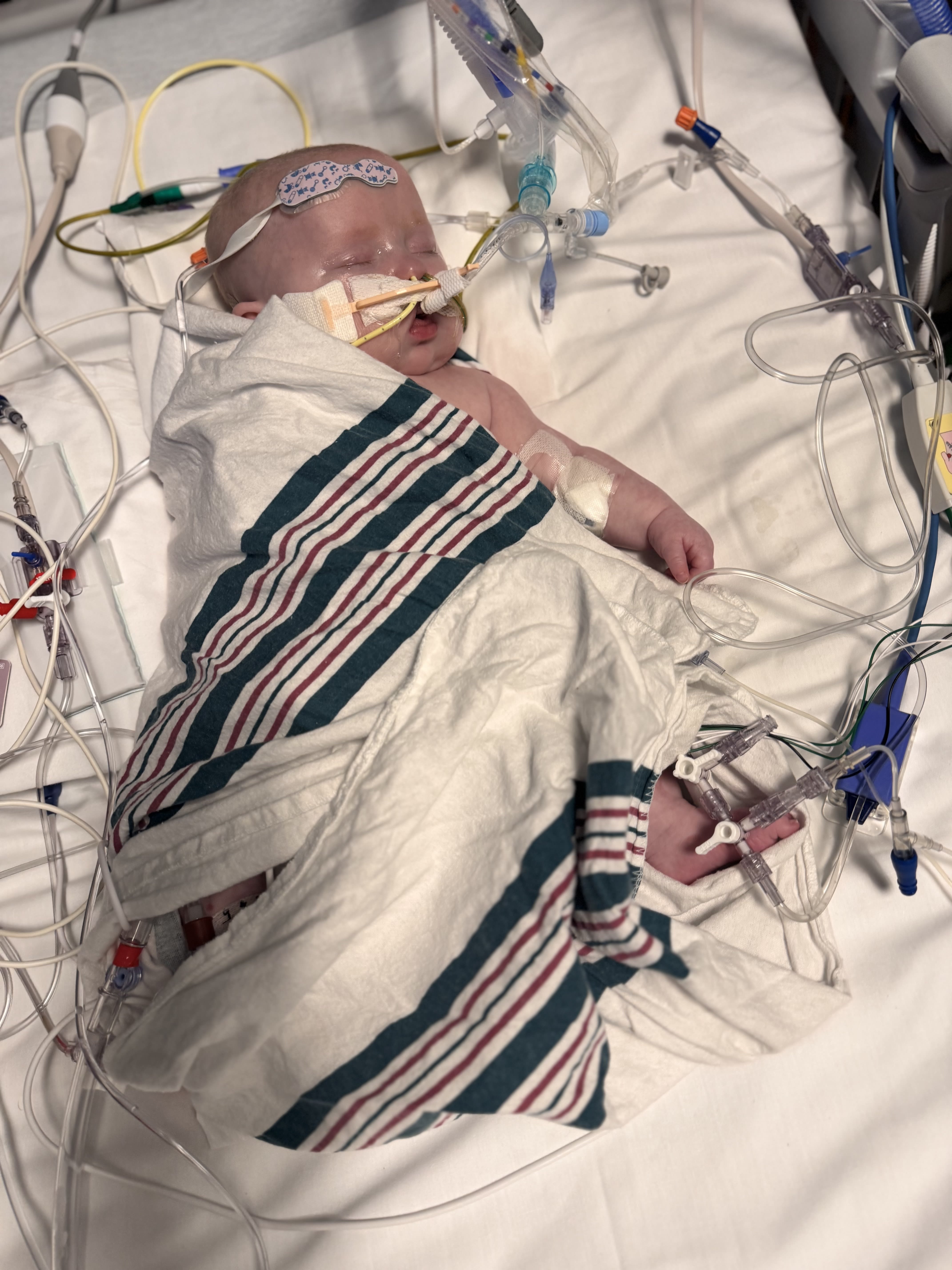 Image from 09/08/2024 Update