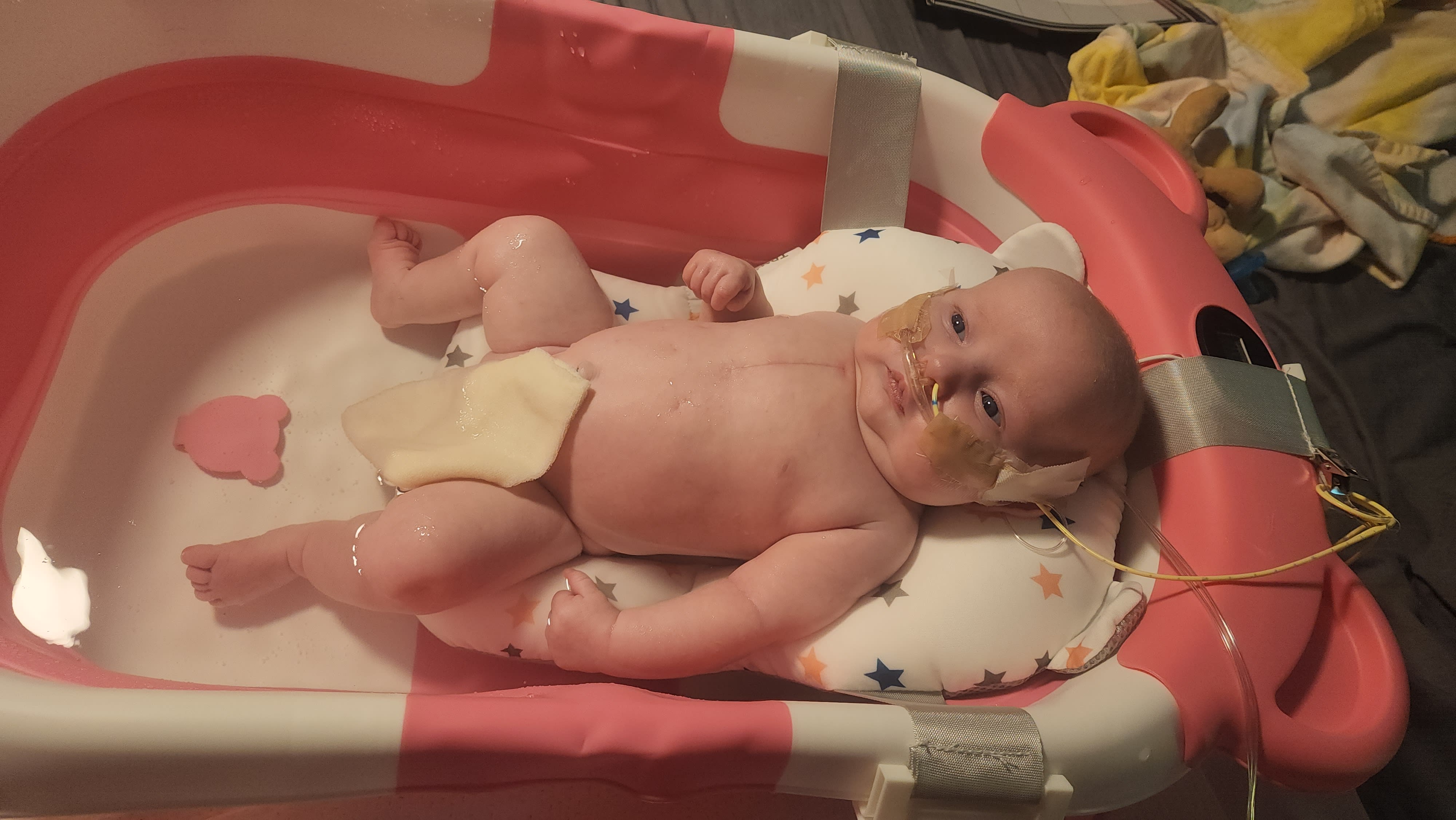 Image from 08/06/2024 Update