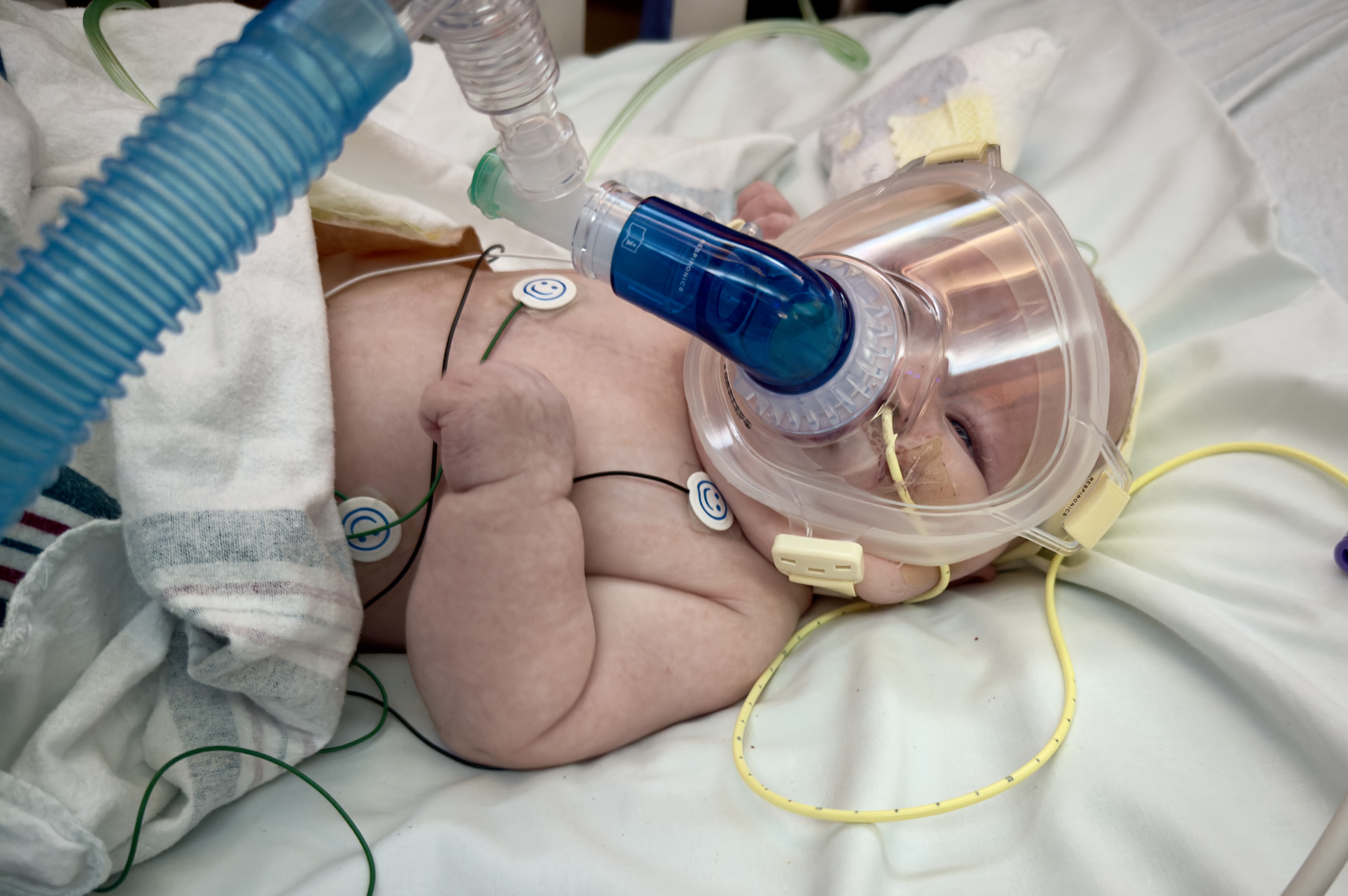 Image from 11/01/2024 Update