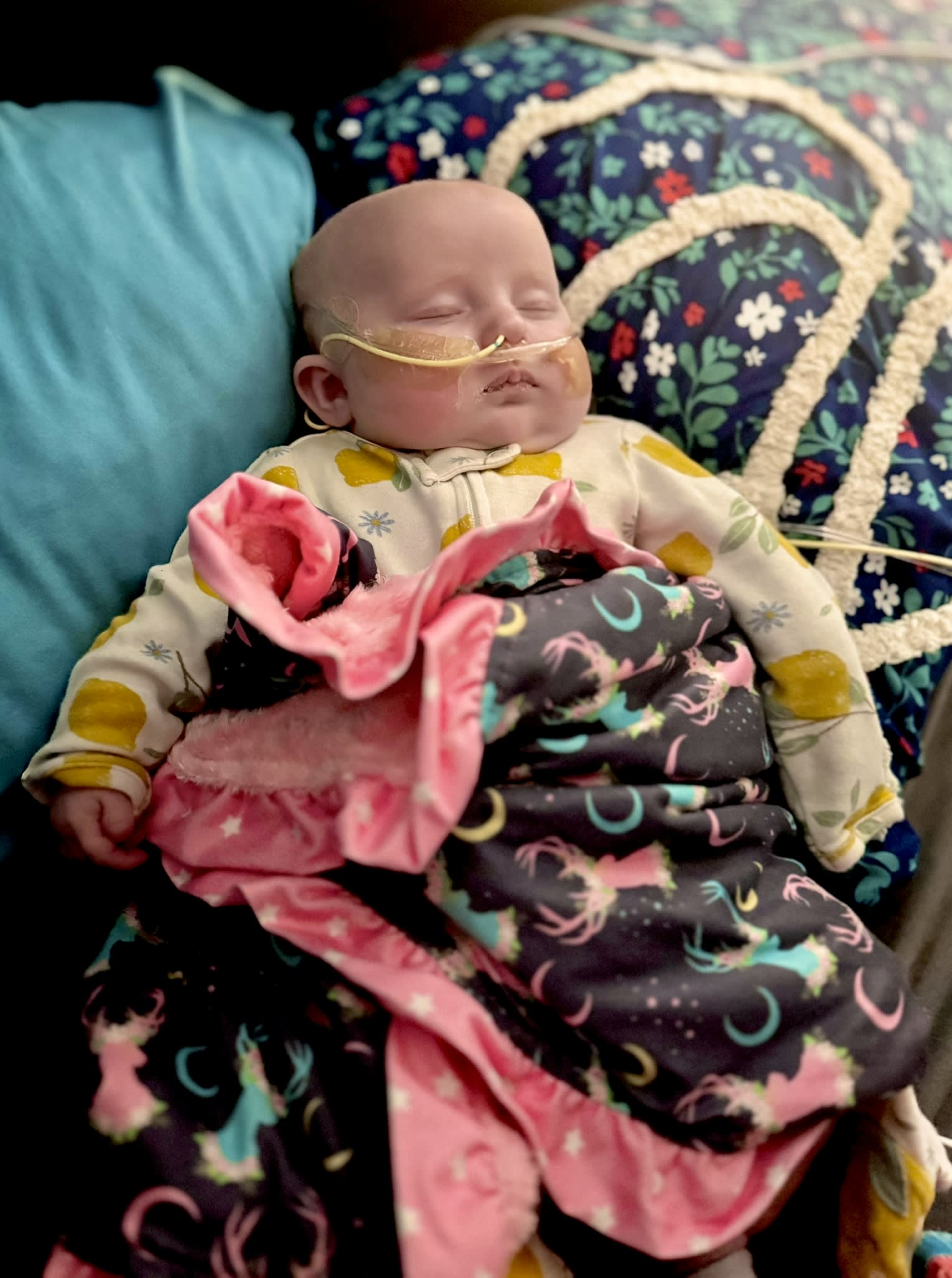 Image from 08/13/2024 Update