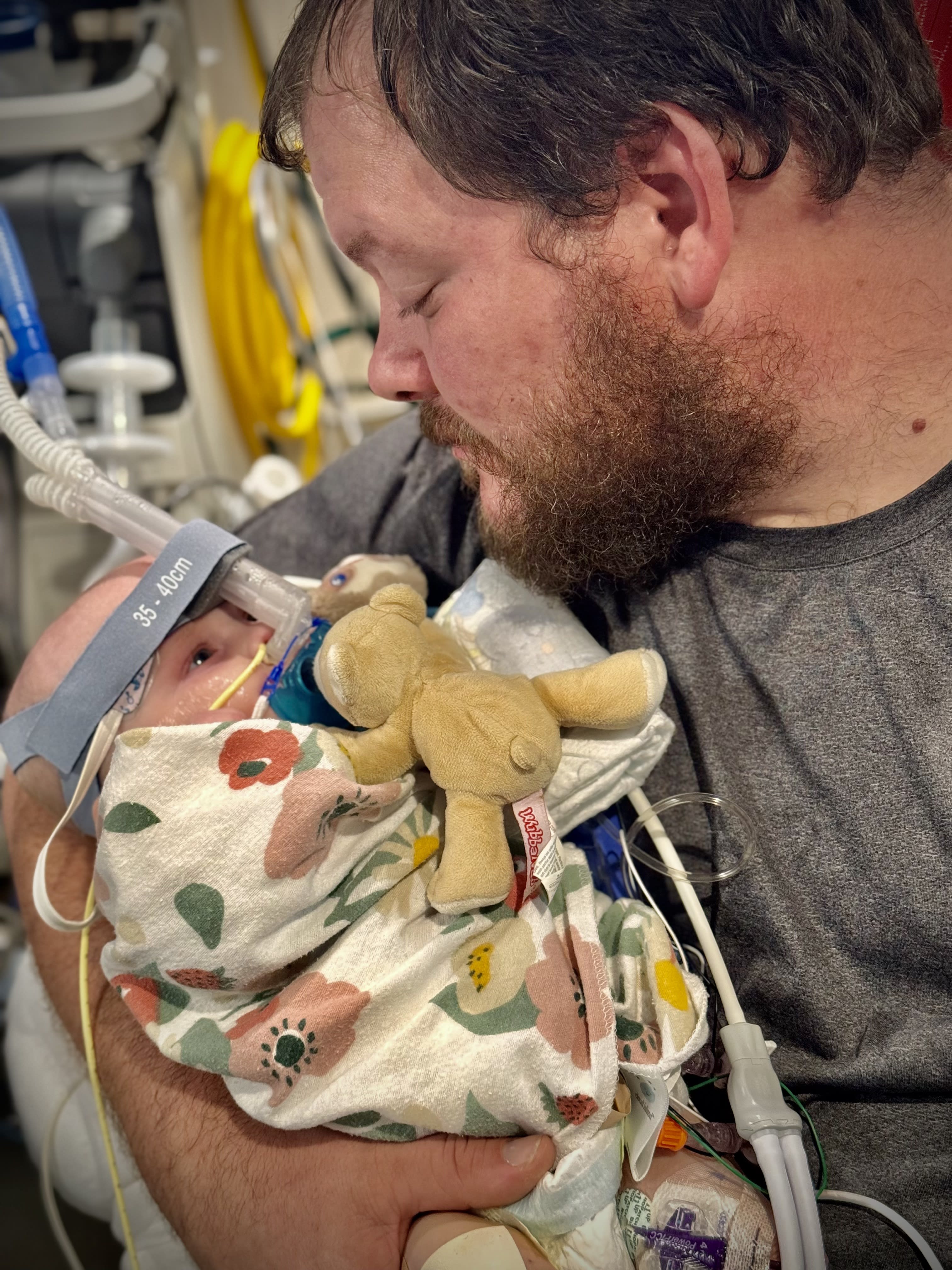 Image from 11/08/2024 Update