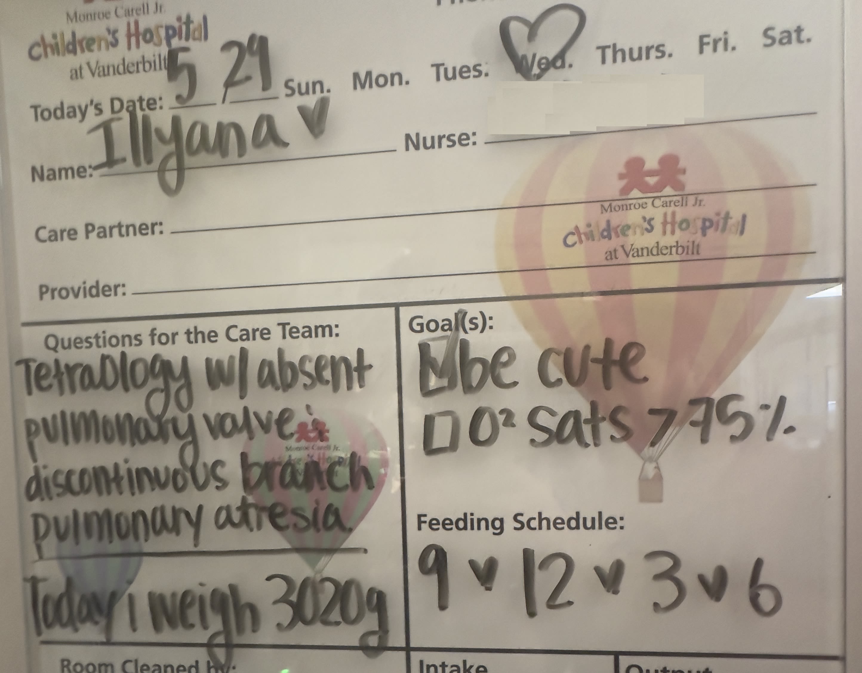 Image from 05/30 Update