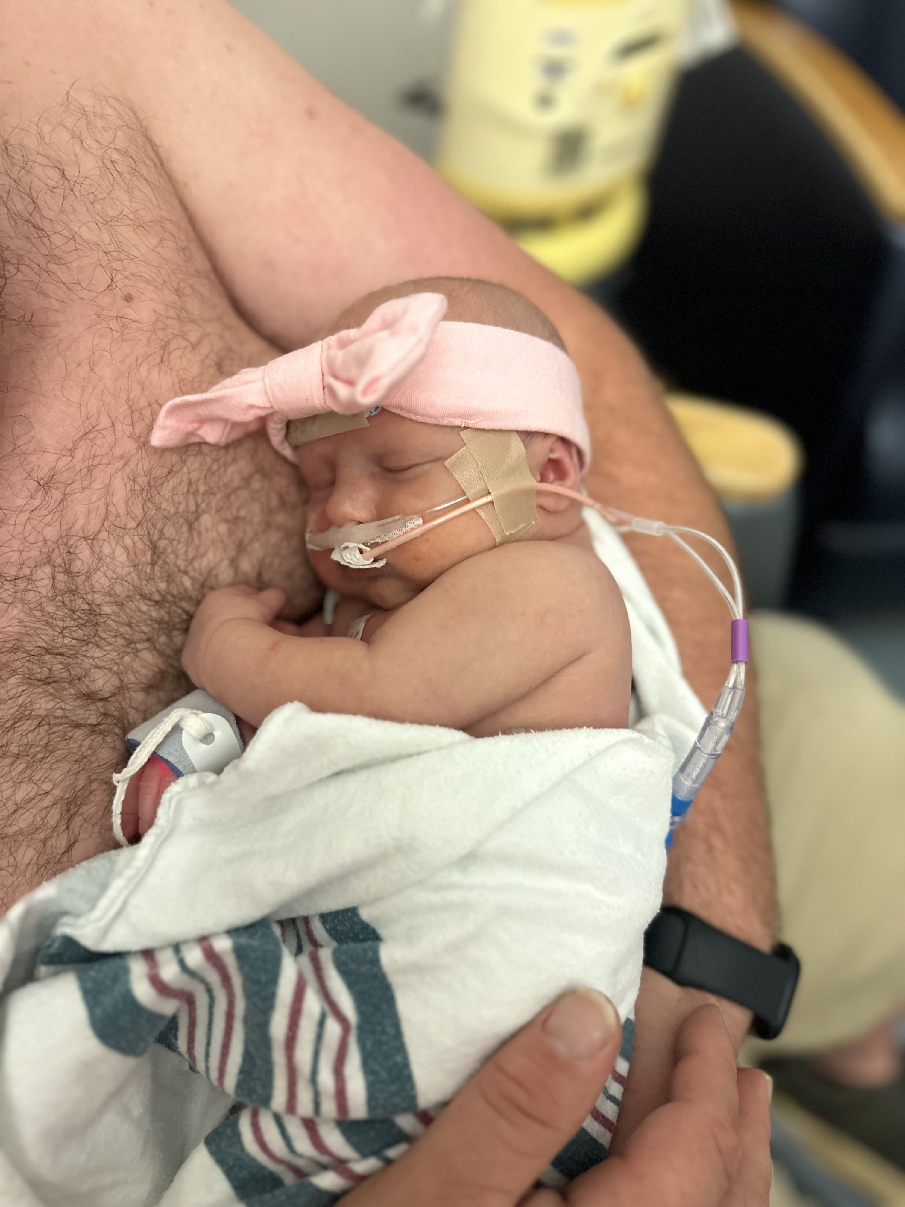 Image from 06/02/2024 Update