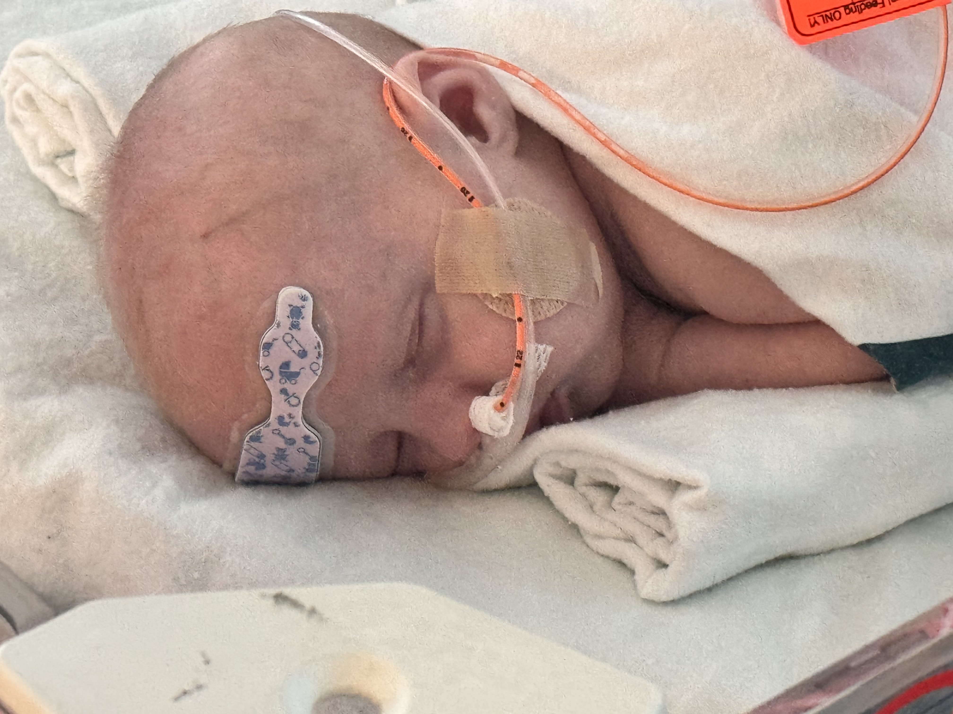 Image from 06/08/2024 Update