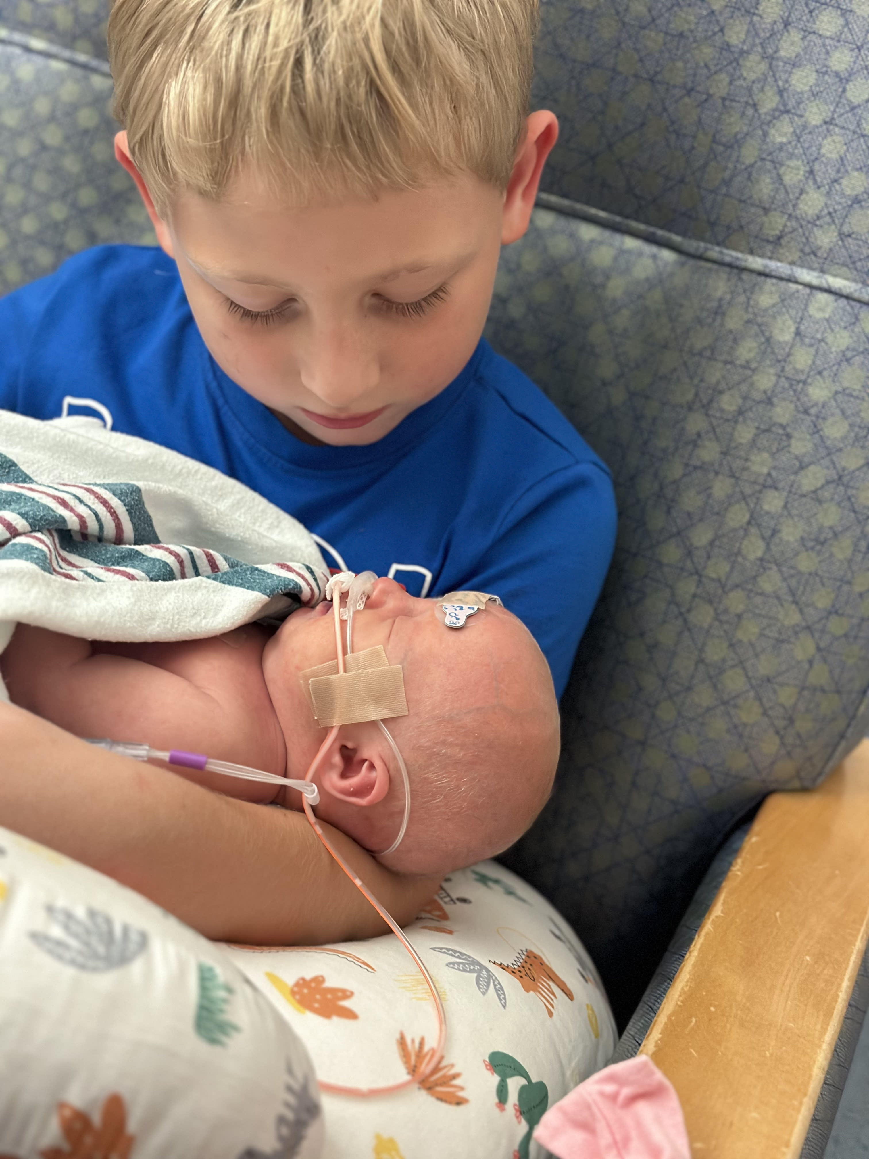 Image from 06/02/2024 Update