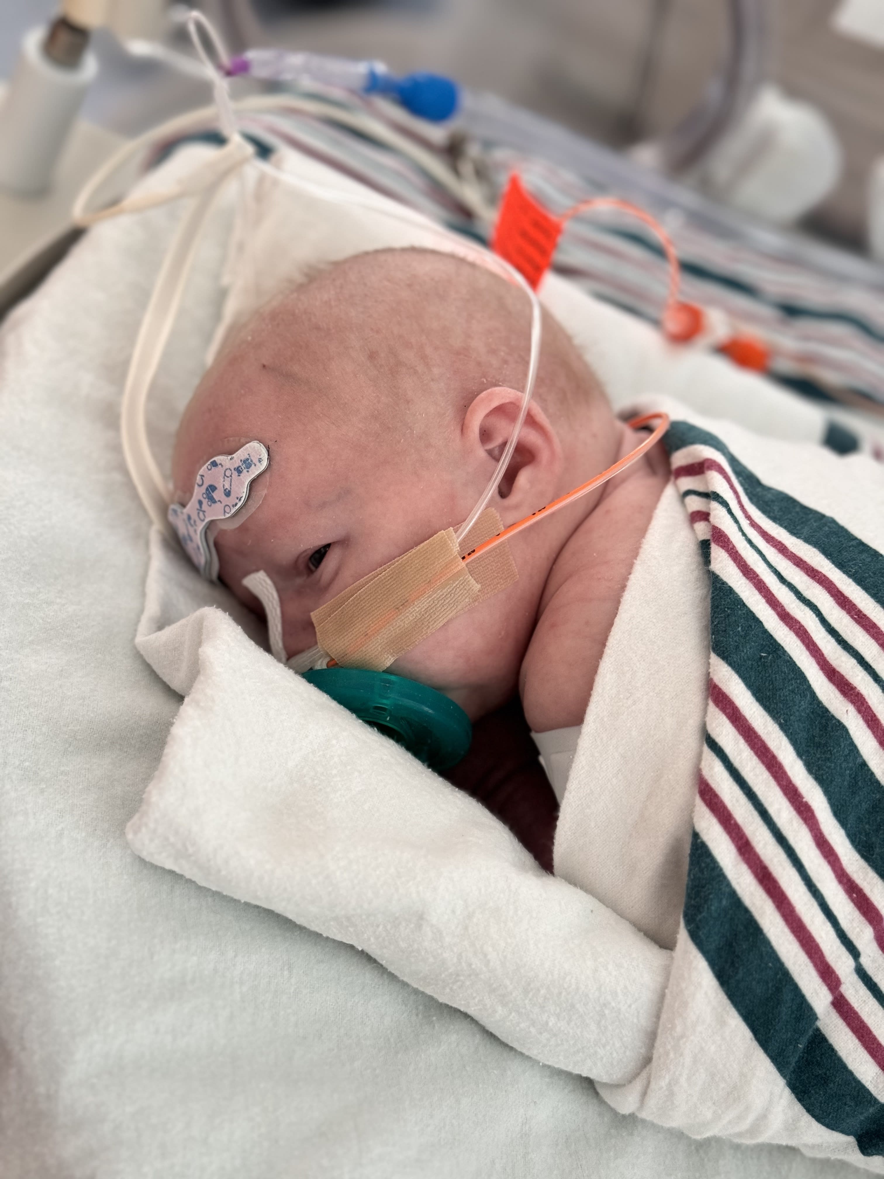 Image from 06/08/2024 Update