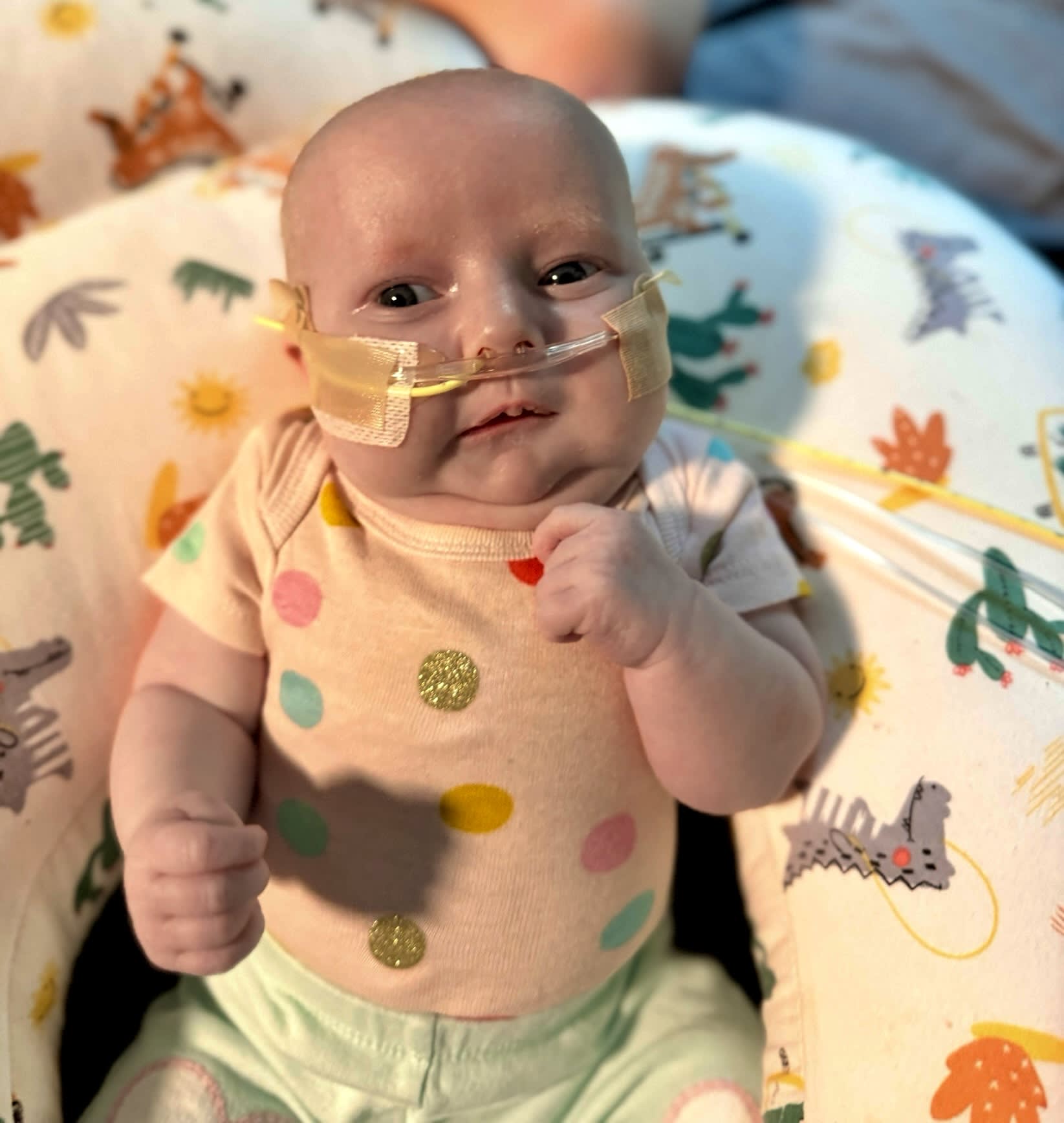 Image from 07/23/2024 Update