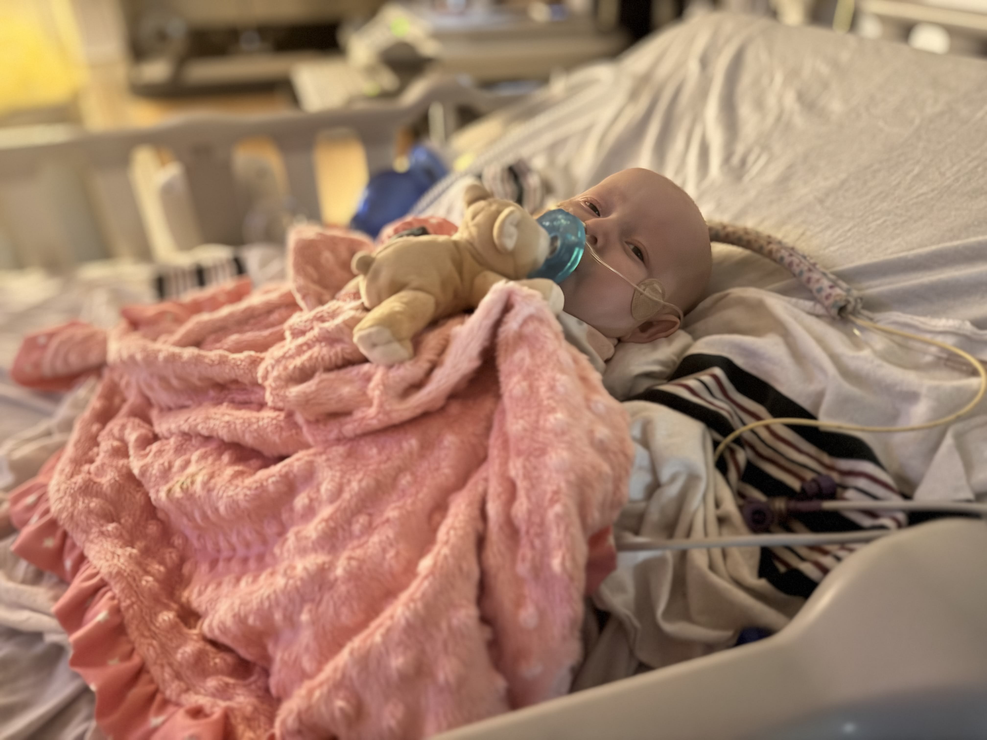 Image from 08/23/2024 Update