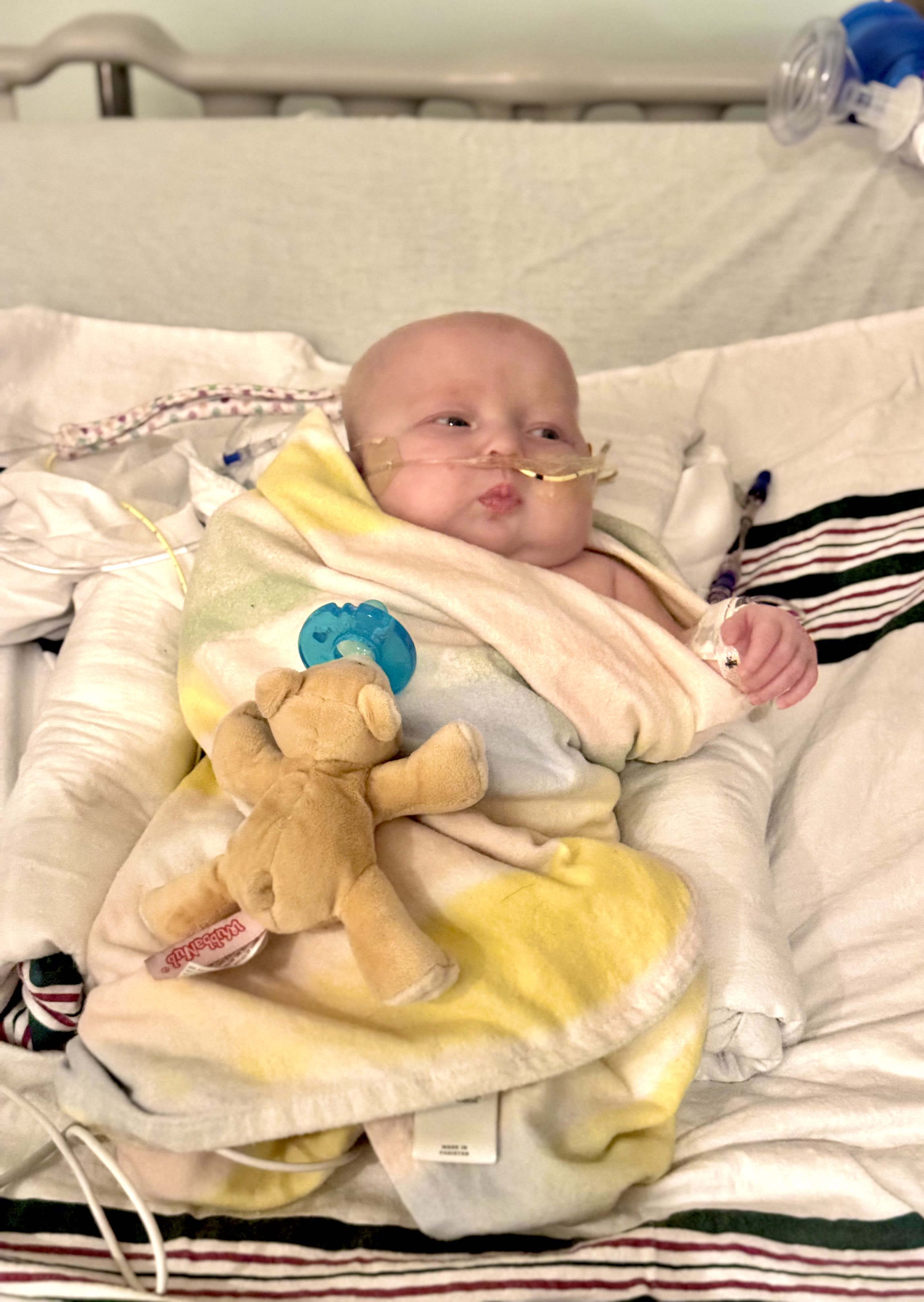 Image from 08/26/2024 Update