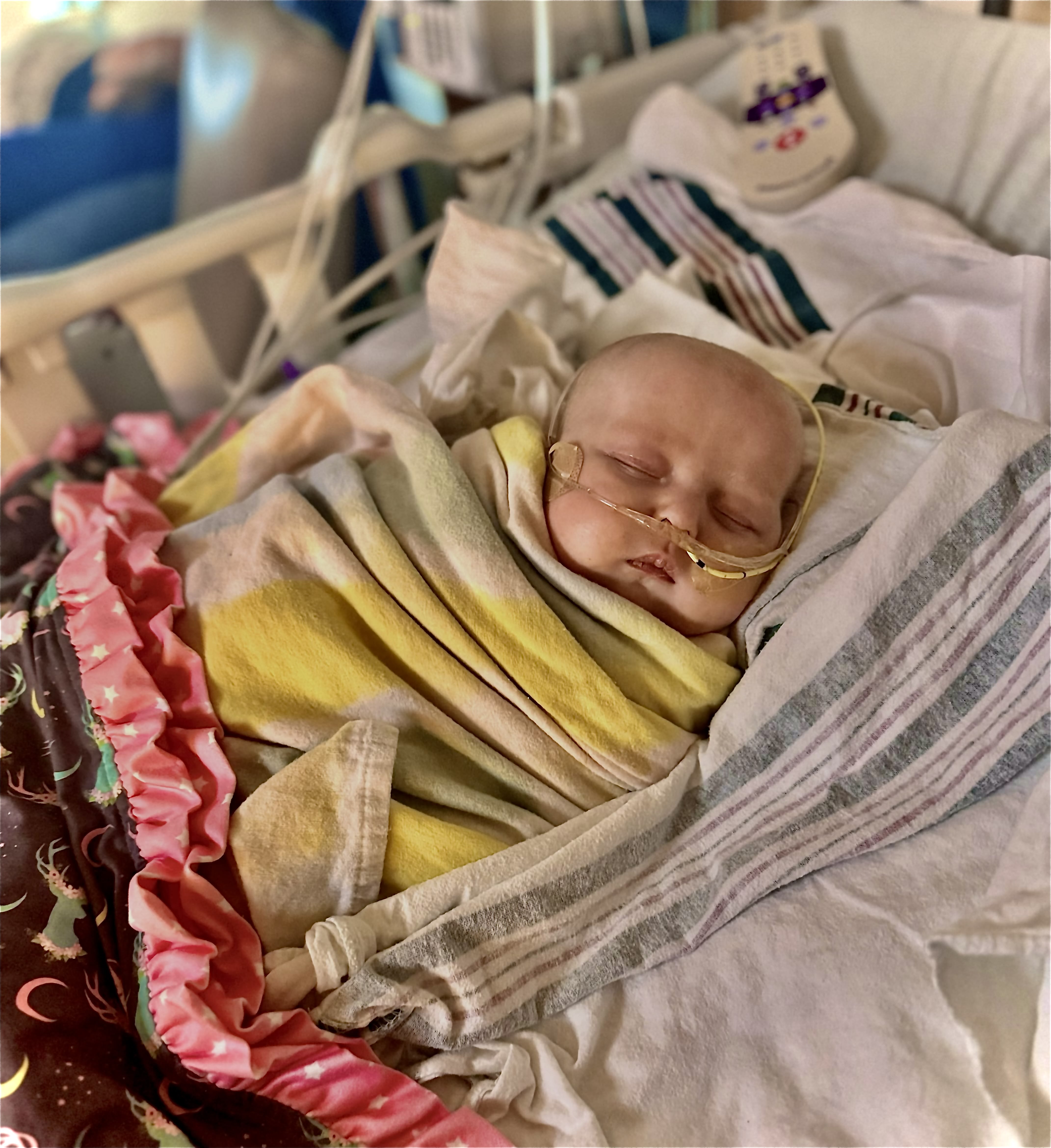 Image from 08/27/2024 Update