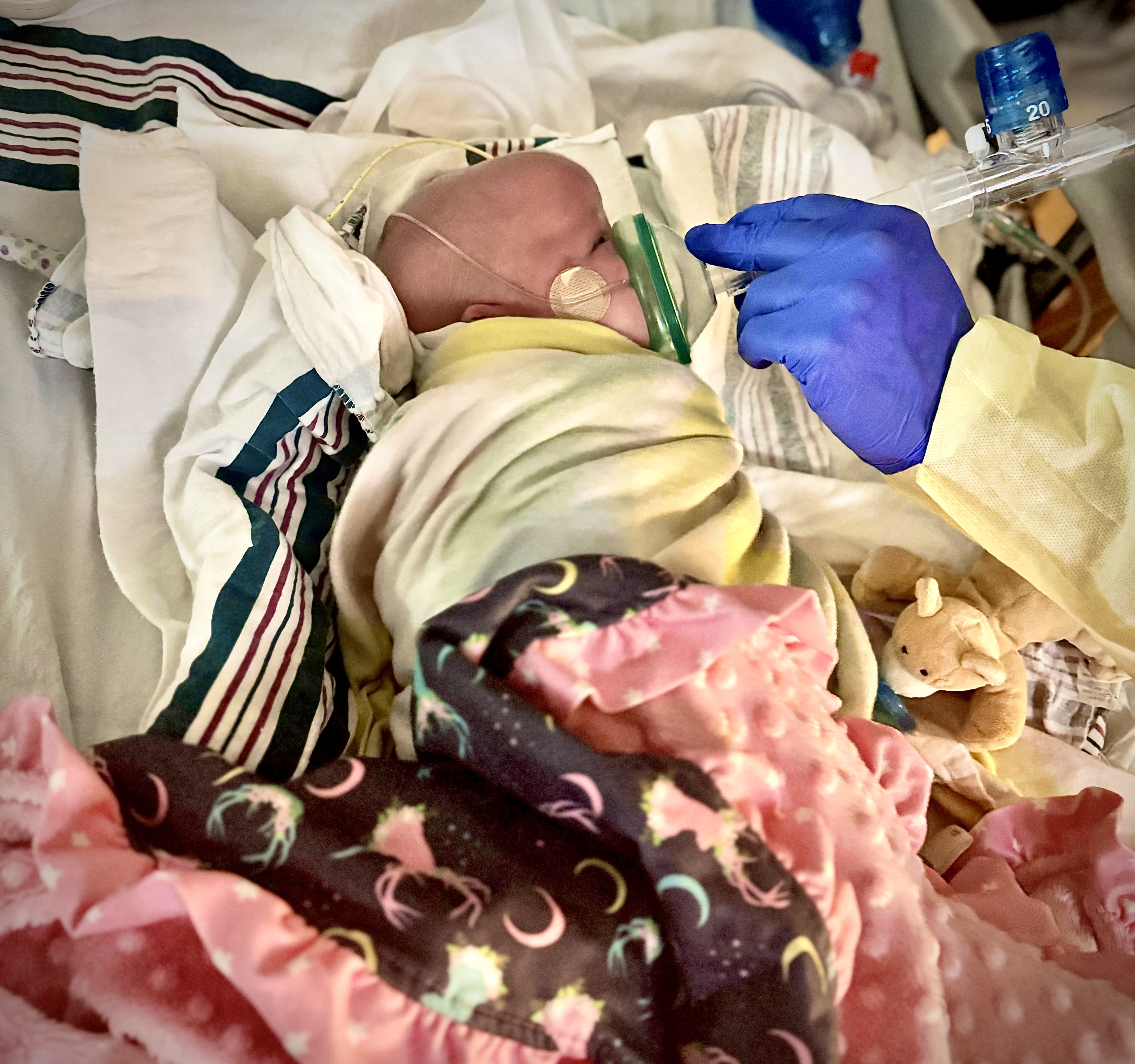 Image from 08/30/2024 Update