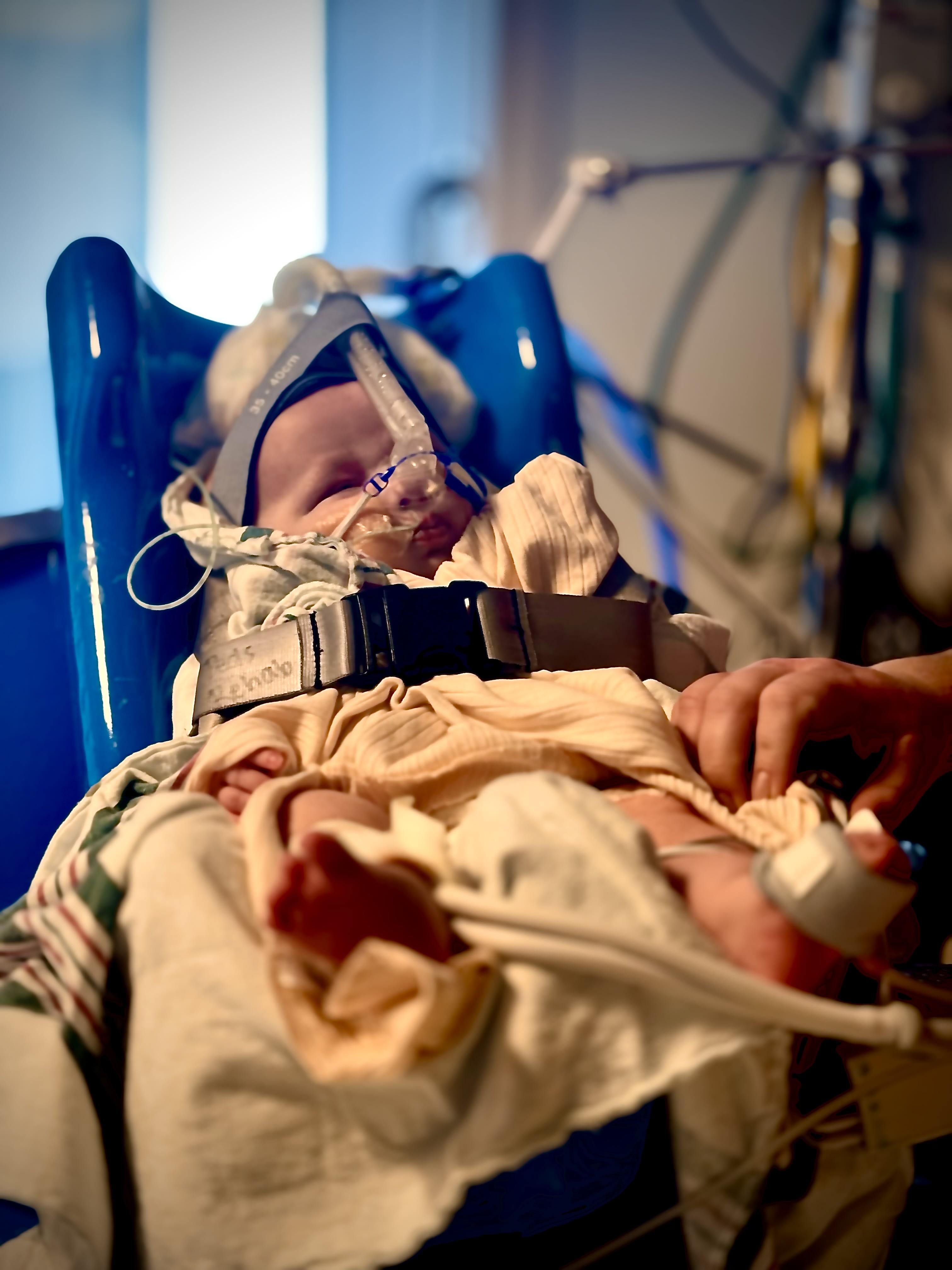 Image from 10/31/2024 Update