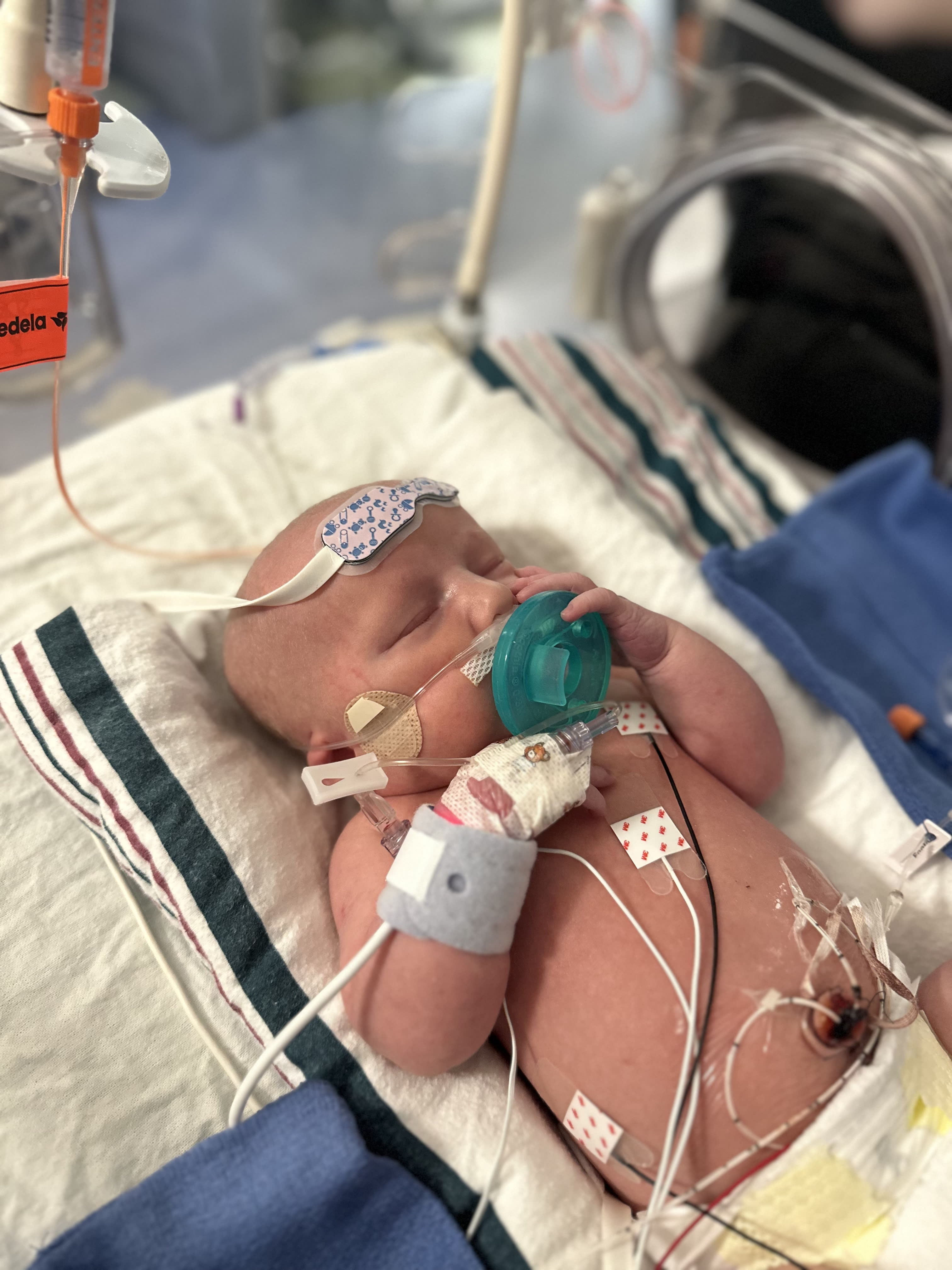 Image from 05/28/24 Update